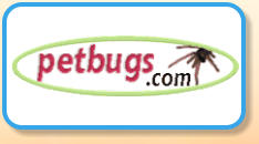 pet bugs