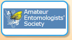 Amateur Entomologists Society - Stick Insects