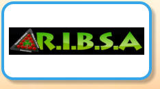 Republic of Ireland Billiards and Snooker Association