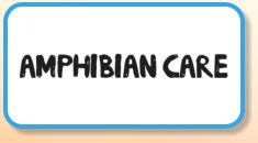 Amphibian Care