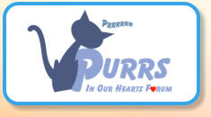 Purrs In Our Hearts Forum