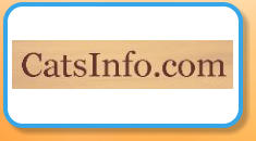 Cats Info