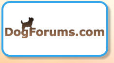 Dog Forums