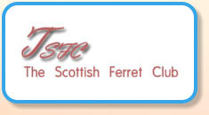 The Scottish Ferret Club