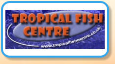 Tropical Fish Centre