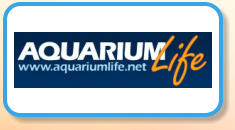 Aquarium Life
