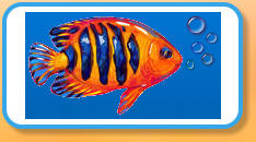 Aquarium Phantasies Forum