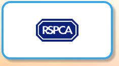 RSPCA Horses