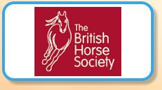 The British Horse Society