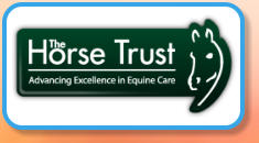 The Horse Trust