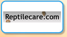 Reptile care