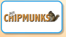 Pet Chipmunks
