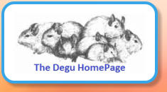 The Degu HomePage