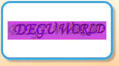 Degu World