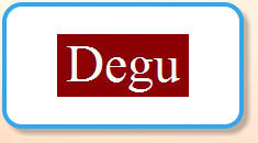 eRodent Degu Pages