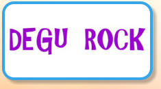 Degu Rock