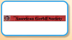 The American Gerbil Society