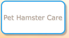 Pet Hamster Care