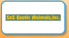 Exotic Animals Chipmunk Care